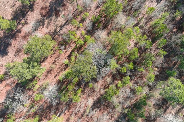 Aerial Mapping & Orthomosaic