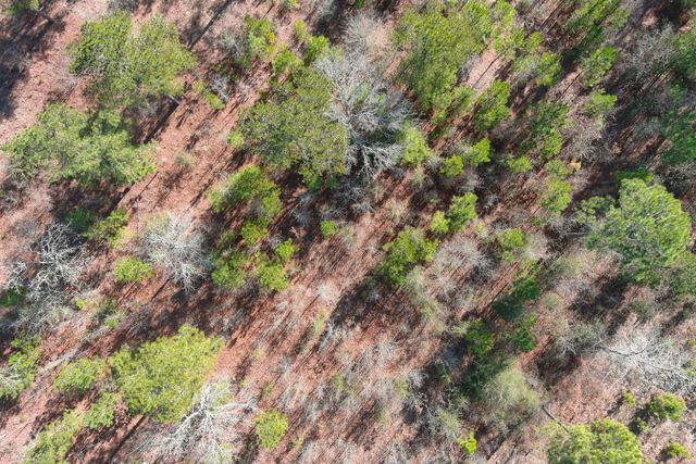 Aerial Mapping & Orthomosaic - Ortho Map Images