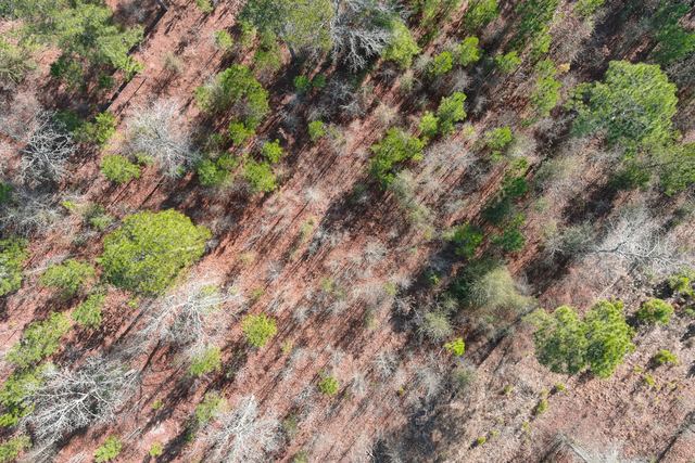 Aerial Mapping & Orthomosaic - Ortho Map Images